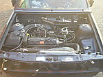 S3010641.JPG