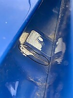 IMG_1495.jpeg