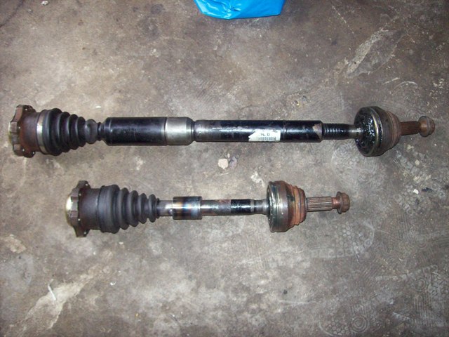 Anhang ID 88487 - 100_4700.jpg