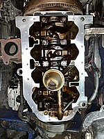 IMG_7346.jpeg