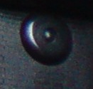 Anhang ID 145512 - bier.JPG