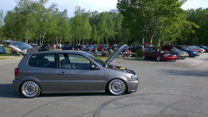 Anhang ID 158668 - polo.jpg