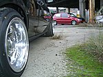 CIMG2611.JPG