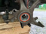 IMG_4467.jpeg