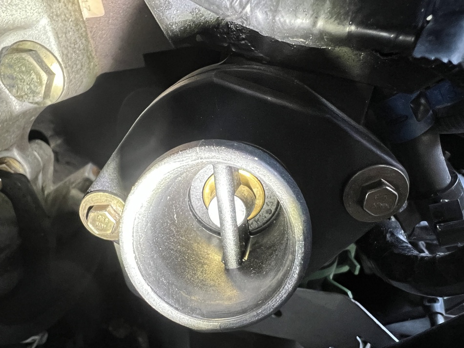 Anhang ID 206189 - IMG_7806 2.jpeg