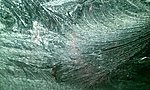 IMAG0063.jpg