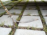 IMG_20130131_090702.