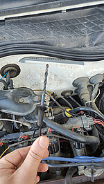 IMG_20250420_164503.