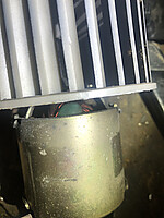 IMG_3547_2.jpg