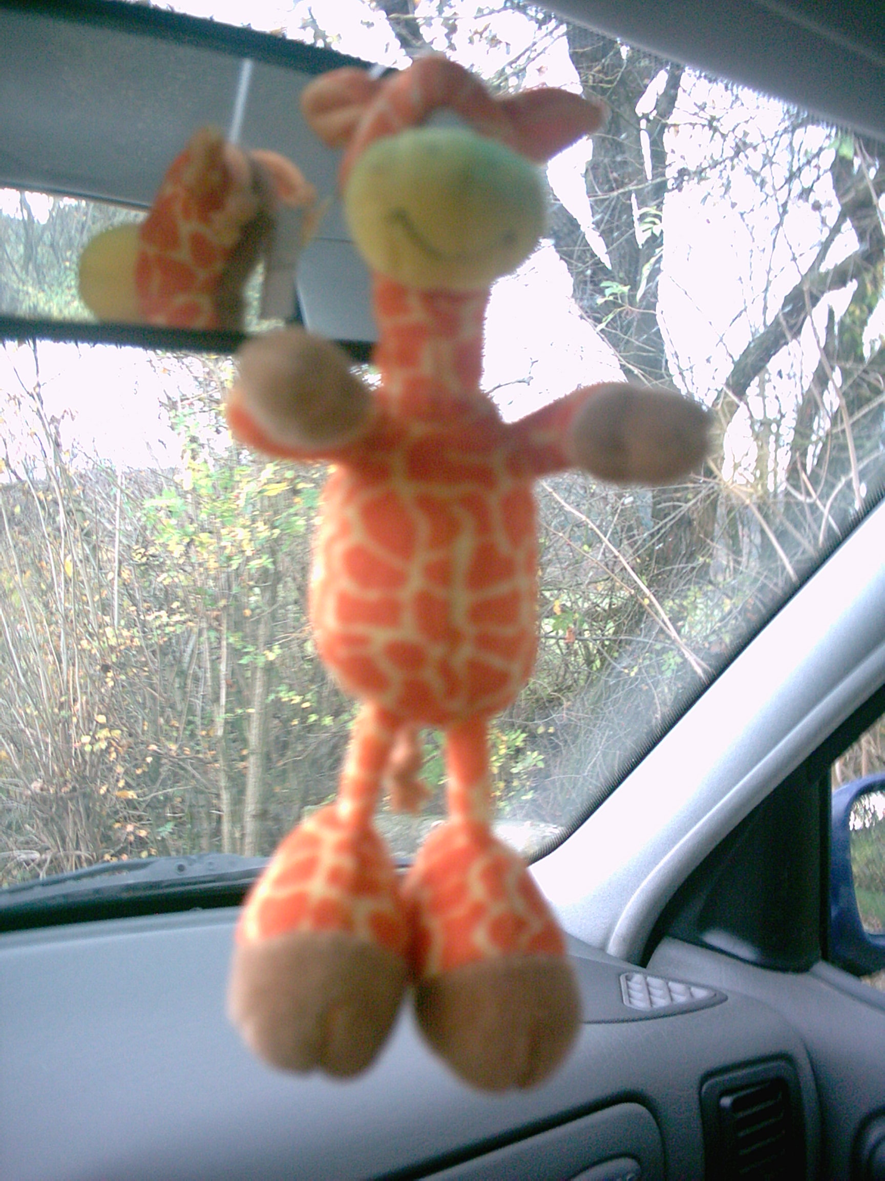 Anhang ID 754 - giraffe.jpg