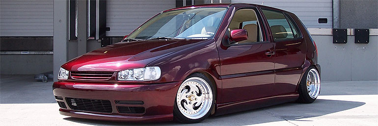 Anhang ID 34955 - daggiepolo.jpg