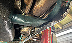IMG_3976.jpeg