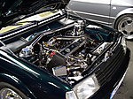 P7310006.JPG