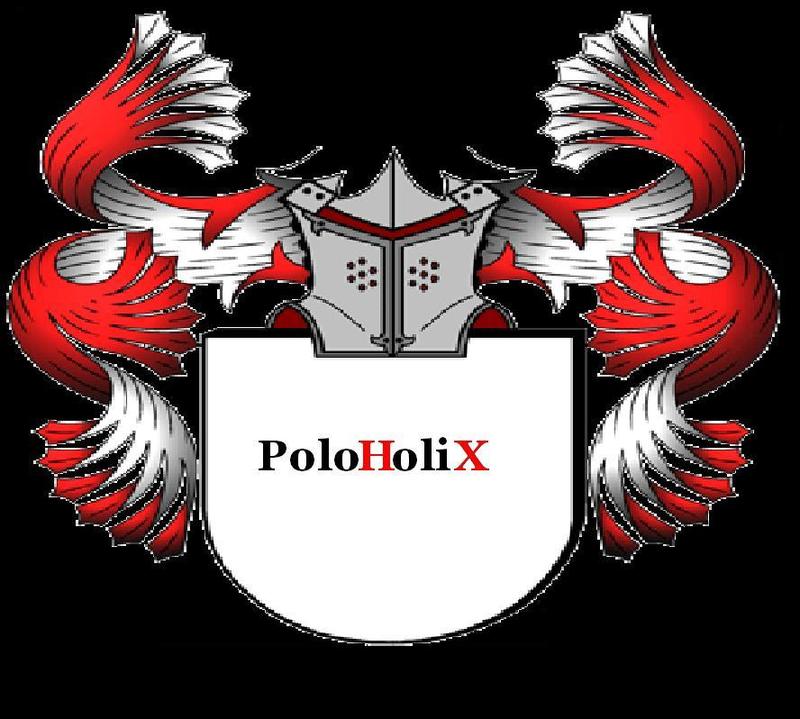 Anhang ID 86215 - PoloHoloix.JPG