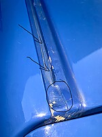 IMG_1492.jpeg