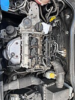 m1.jpg