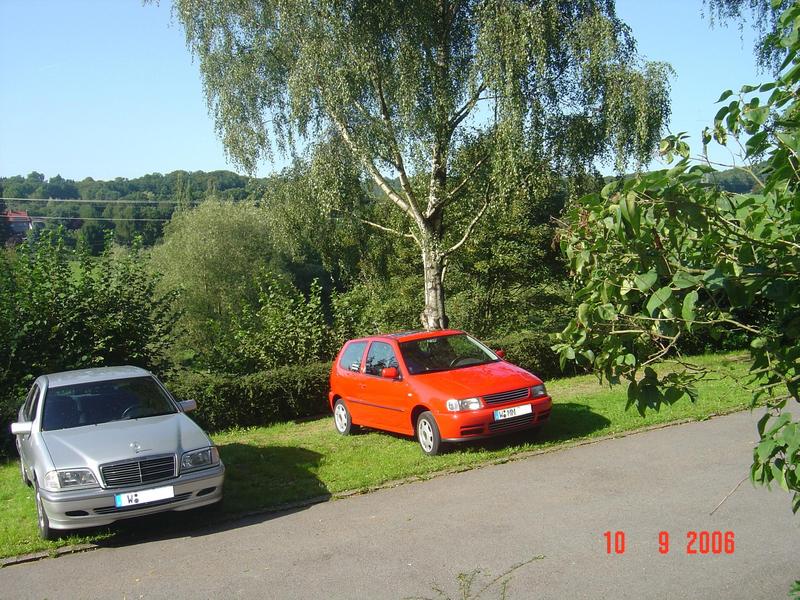 Anhang ID 20833 - BENZ oder POLO.JPG