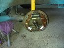 WP_000239.jpg