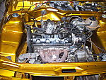 DSCF0533.JPG