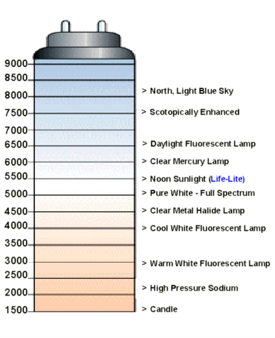 Anhang ID 94857 - les-kelvin-scale.jpg