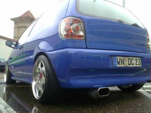 Anhang ID 16070 - polo6n_domenico_3.JPG