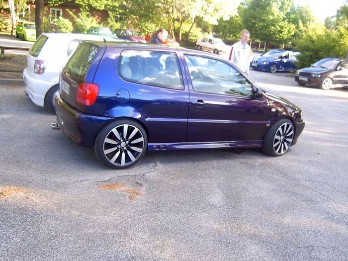 Anhang ID 25321 - polo mit mam.jpg