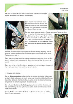 Broeselrohr-2.jpg