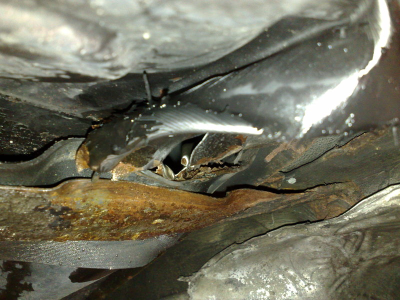 Anhang ID 125747 - 30082010570.jpg