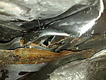 30082010570.jpg