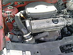 P290410_17.22.jpg