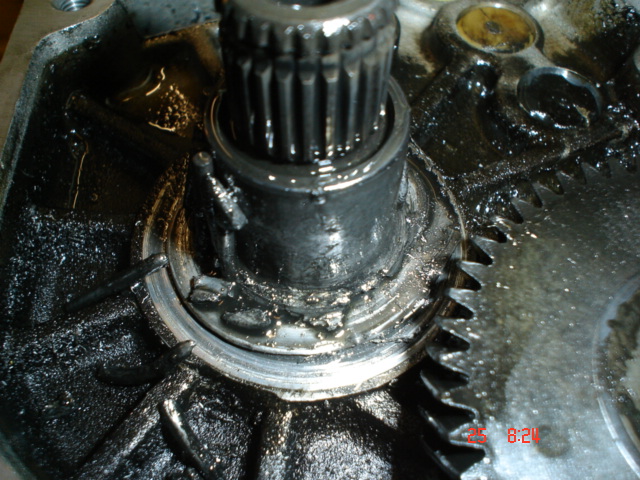 Anhang ID 78187 - DSC04523.JPG