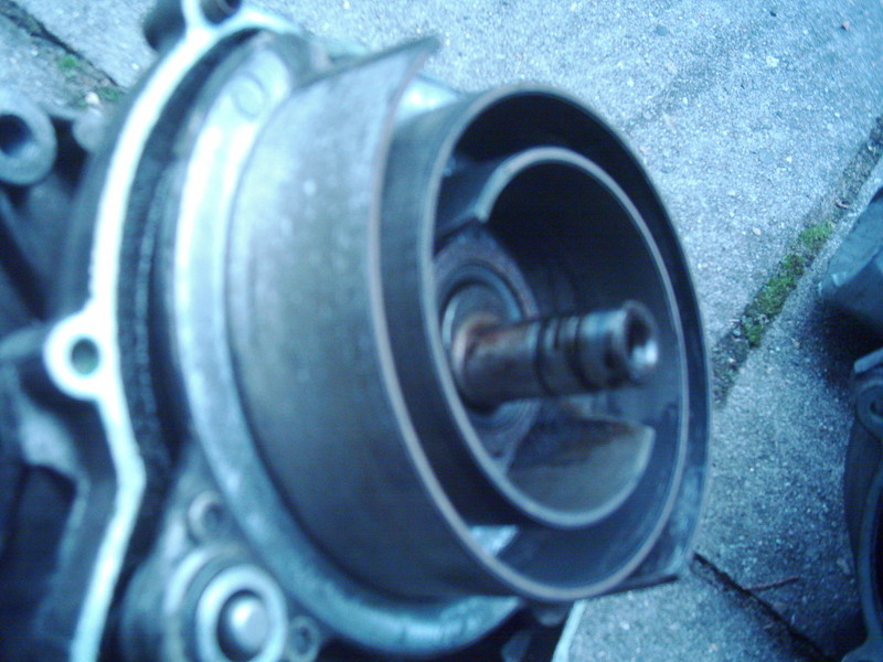 Anhang ID 45630 - DSCI0005.JPG