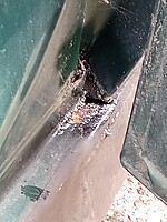 IMG_20260827_175904.