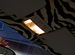PICT7146.JPG