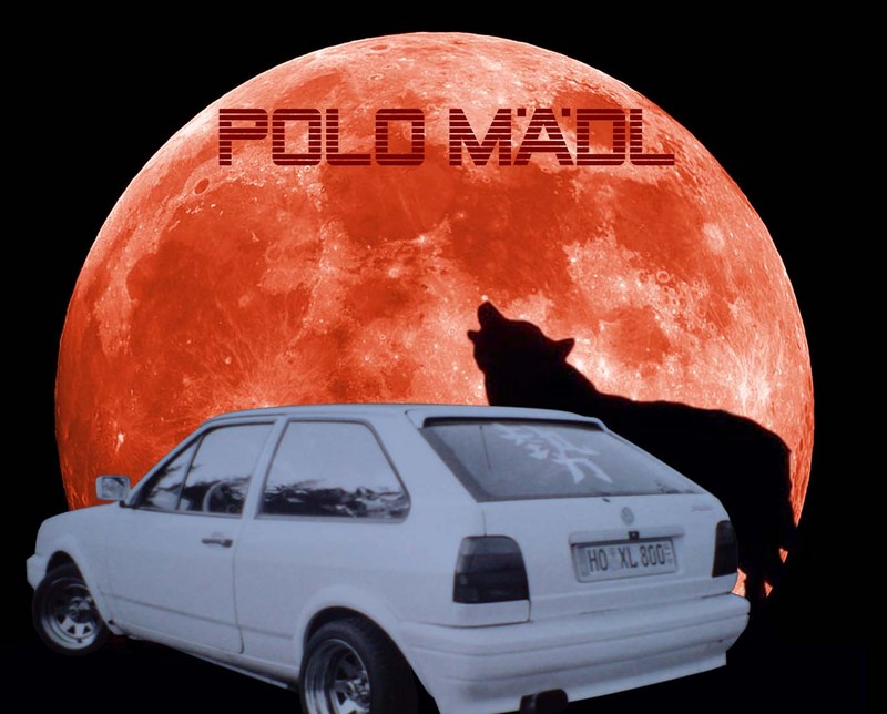 Anhang ID 37800 - Polo M?dl 2.jpg