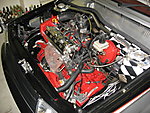 motor-sascha 128.jpg