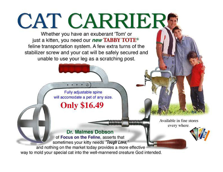 Anhang ID 34323 - cat-carrier.jpg