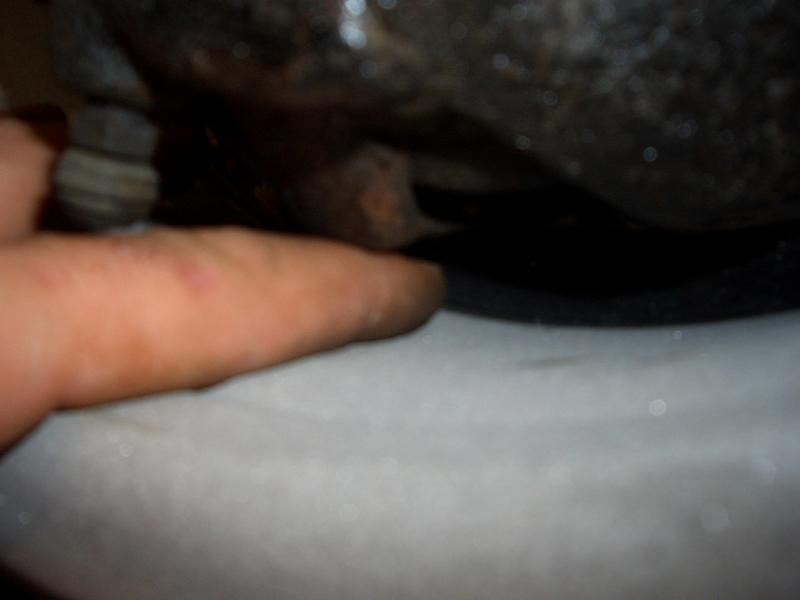 Anhang ID 103279 - K800_CIMG3940.JPG