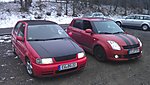 dach motorhaube schw