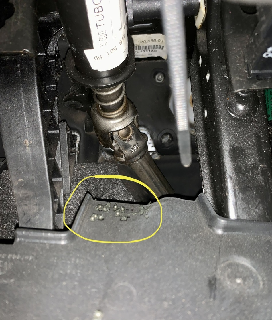 Anhang ID 206183 - IMG_9065.jpeg