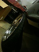 IMG_0329.jpg