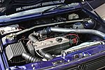 IMG_5827.JPG
