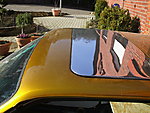 DSCF0512.JPG