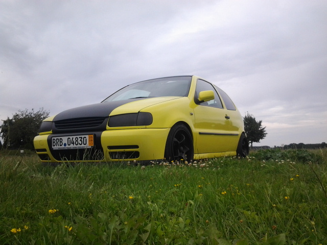 VW Polo 6N