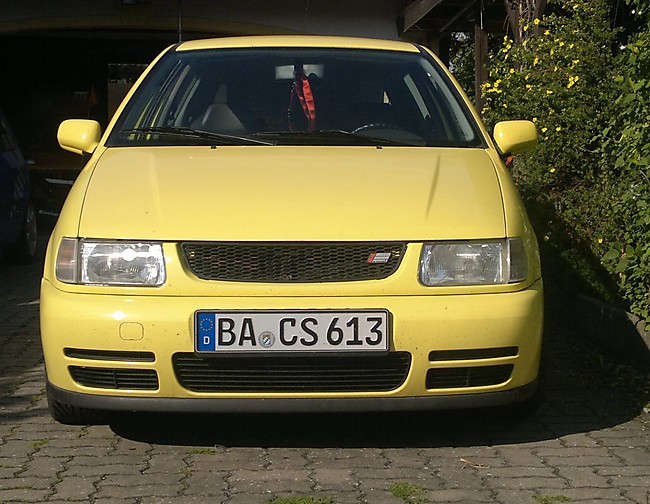 VW Polo 6N Color Concept