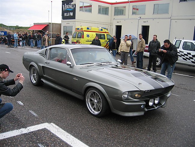 VW Eleanor