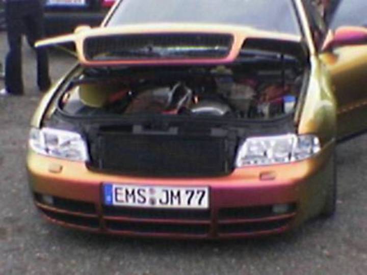 Bild 2059 | 1