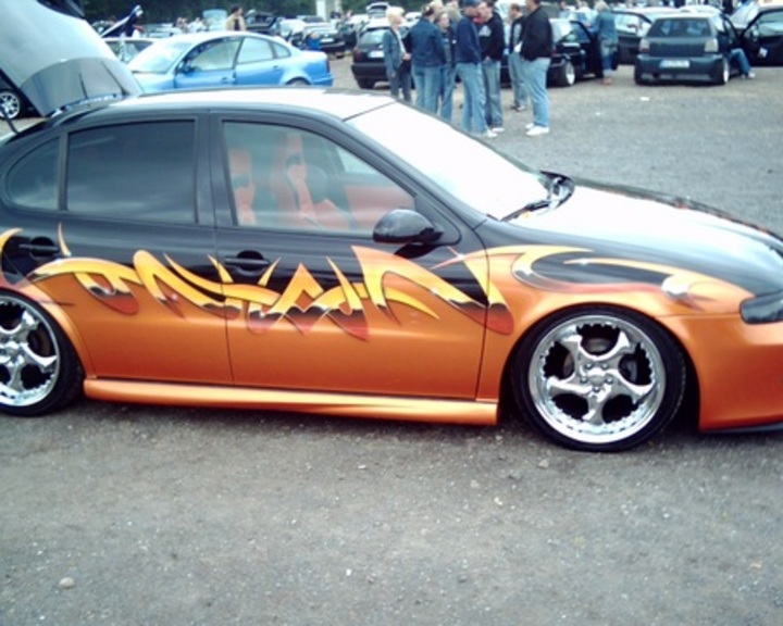 Bild 3071 | 1
