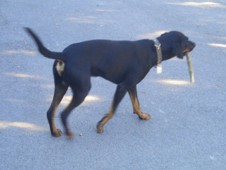 Bild 3929 | 1