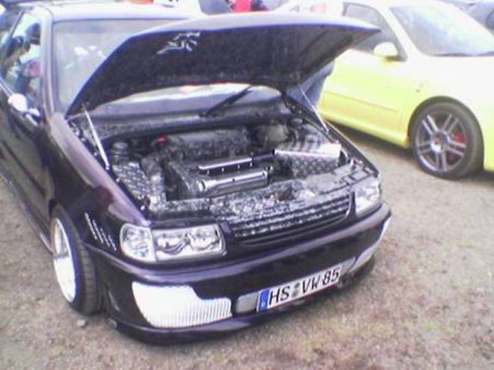 Bild 2084 | 1